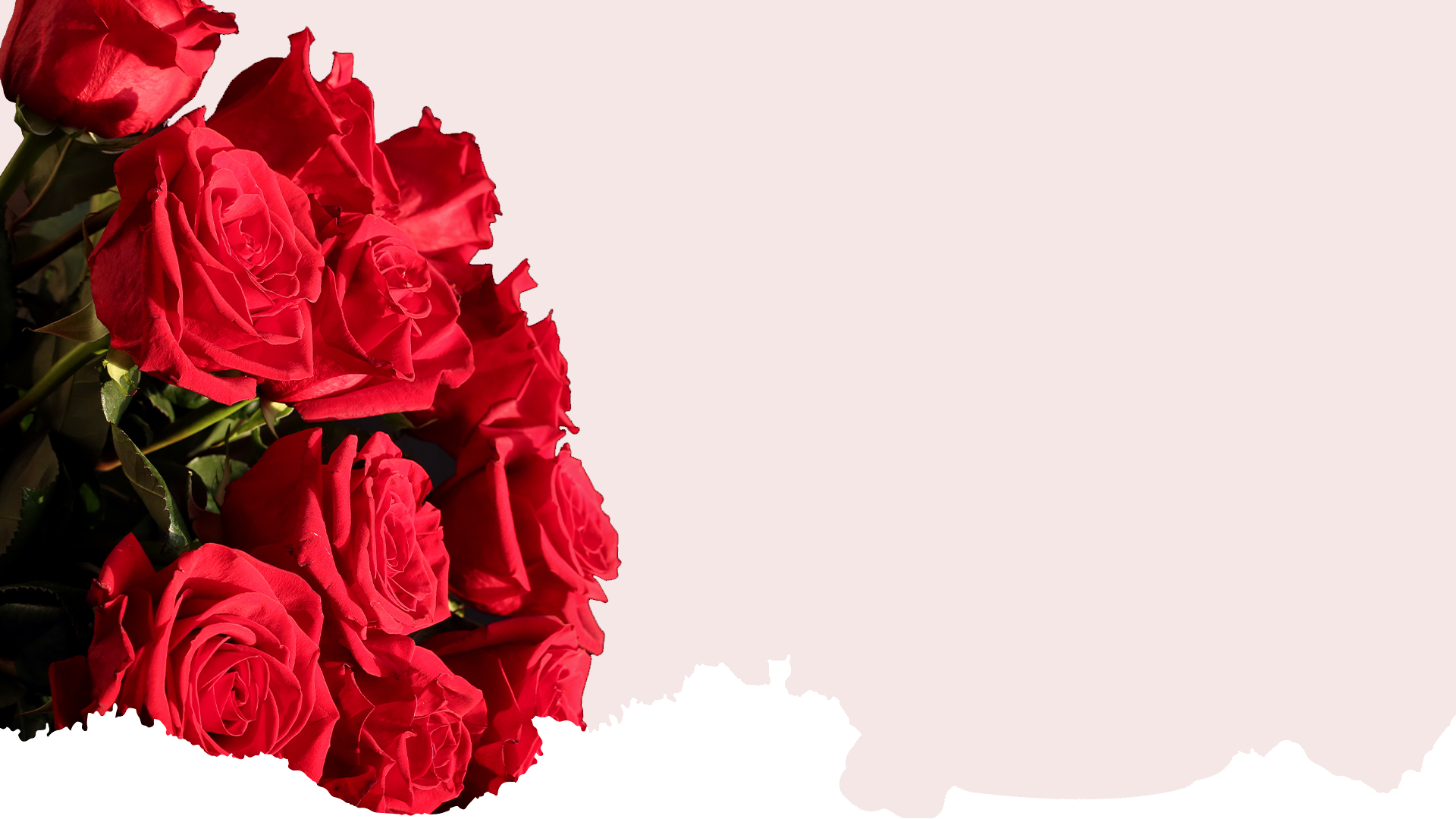 Carrusel Floral Xpress — rosas rojas