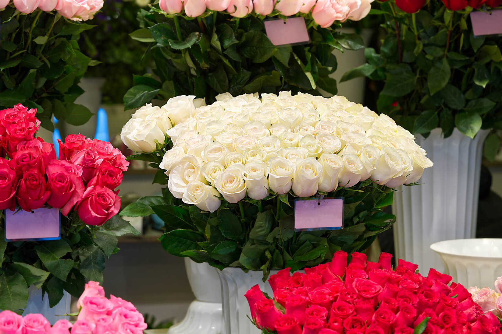 Contacto — Floral Xpress